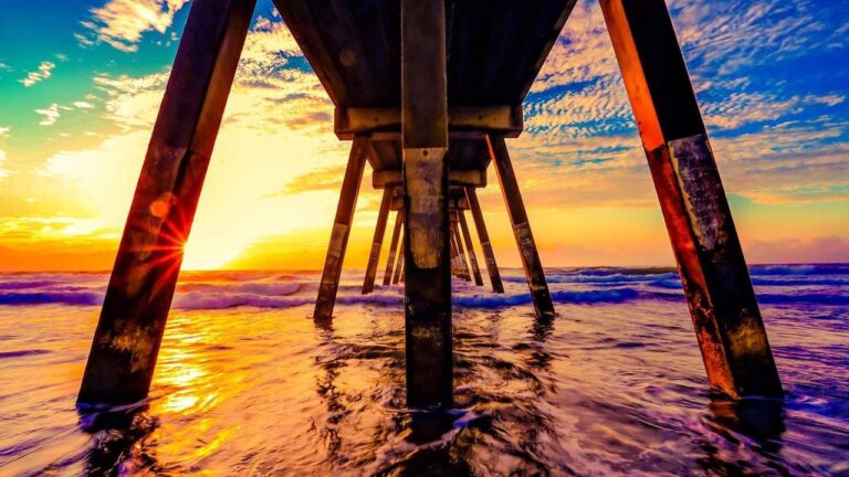 Where Is The 99Exch Transaction History Located?