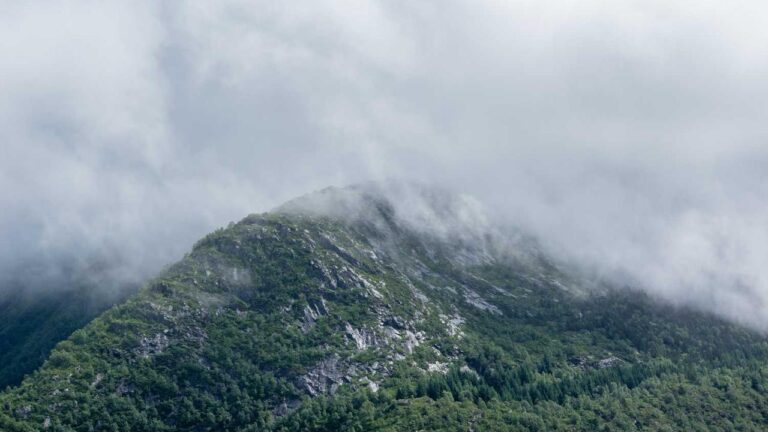 How Do I Create A New 11Xplay Id For Registration?